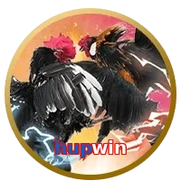 hupwin